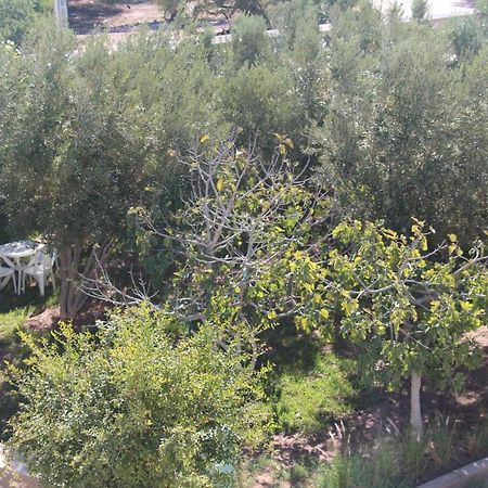 Les Jardins Fleuris Bed & Breakfast Essaouira Exterior photo