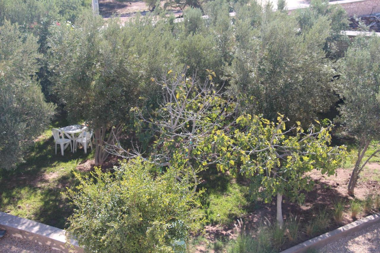 Les Jardins Fleuris Bed & Breakfast Essaouira Exterior photo